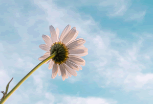 QIAGEN GmbH - Global Manufacturing & R&D Hub for Sample to Insight Solutions